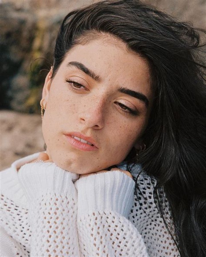 Can You Guess What’s On Charli D’Amelio’s Christmas List? – Hollywood Life